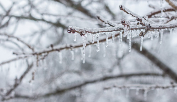 ilustrační fotografie