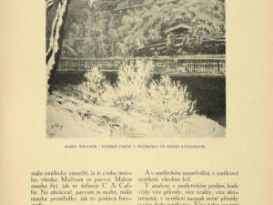 Dómské partie - 1919