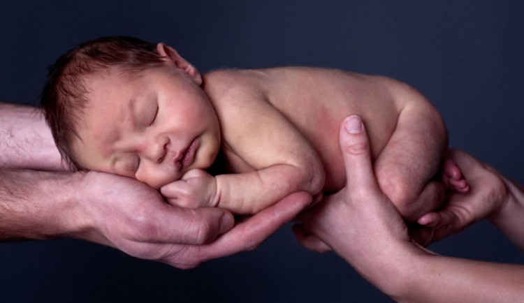 ilustrační fotografie