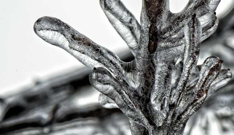 ilustrační fotografie