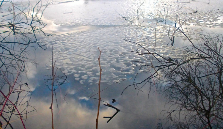 ilustrační fotografie