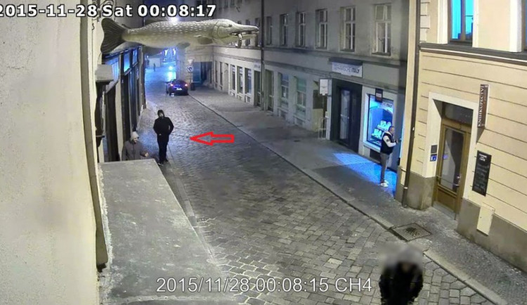 Podezřelý pachatel