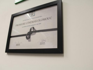 Ocenění kina