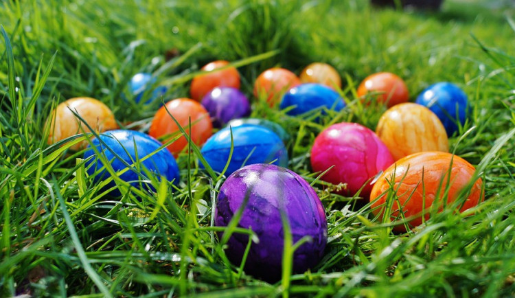 ilustrační fotografie