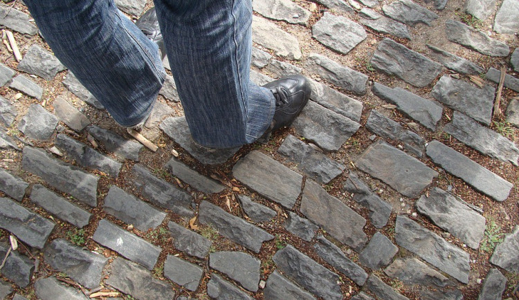 ilustrační fotografie