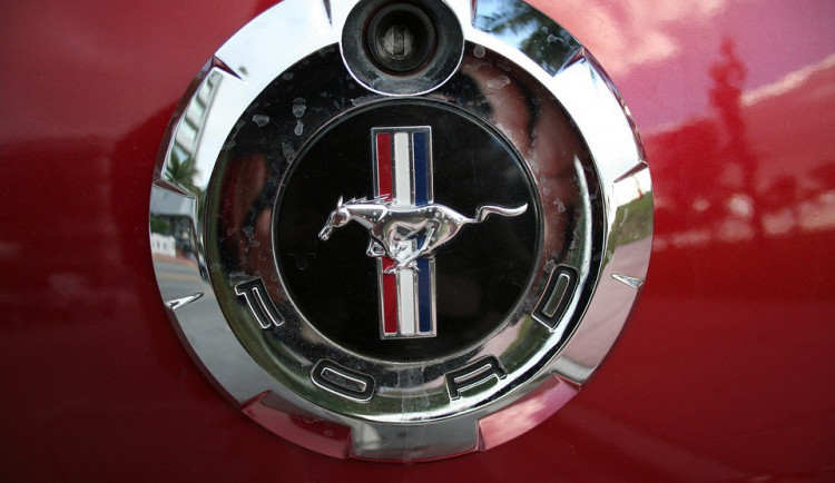 ilustrační fotografie