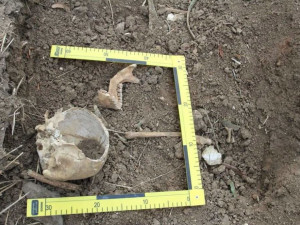Muž našel na poli volně roztroušené lidské kosti, nechyběla ani lidská lebka