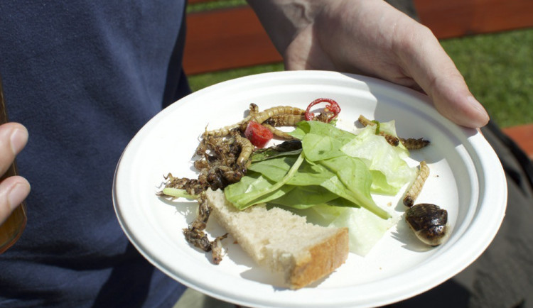 Přípravy na Garden Food Festival vrcholí, můžete se těšit na netradiční speciality a známé kuchaře