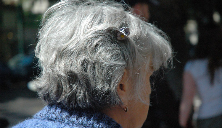 ilustrační fotografie