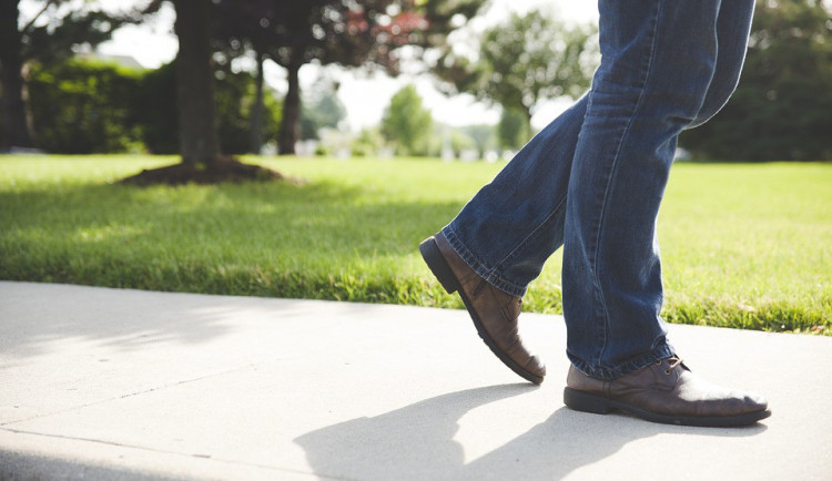 ilustrační fotografie