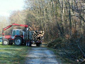 Lesního dělníka zavalil traktor. Když ho kolegové našli, byl už mrtvý