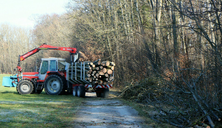 ilustrační fotografie