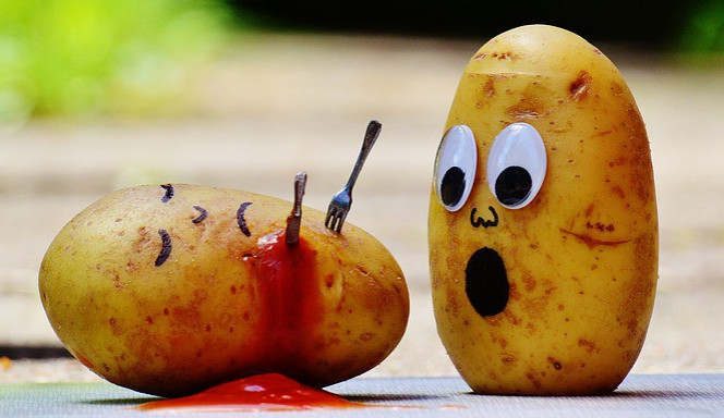 ilustrační fotografie