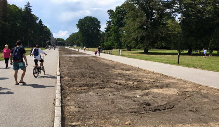 Nynější podoba záhonů v Rudolfově aleji