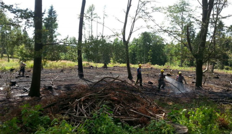 Požár lesa v Dolanech