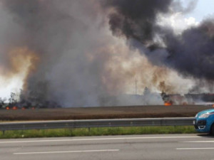 čtenářka Hanka