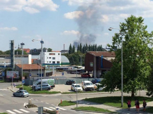 čtenářka Sára