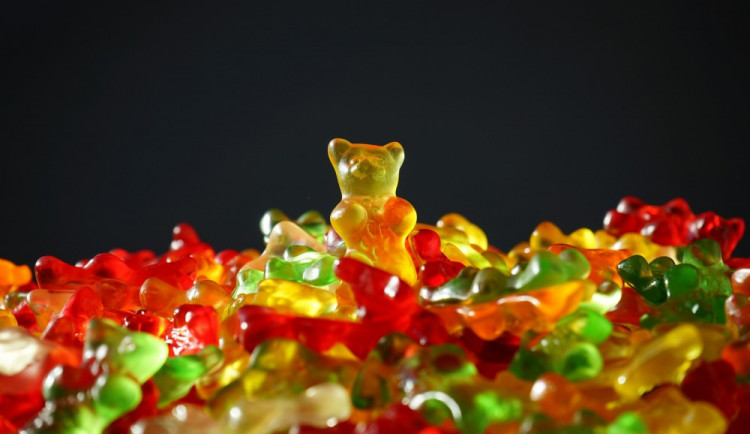 gold-bear-gummi-bears-bear-yellow-55825