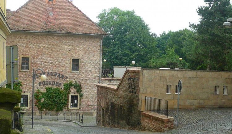 ilustrační fotografie