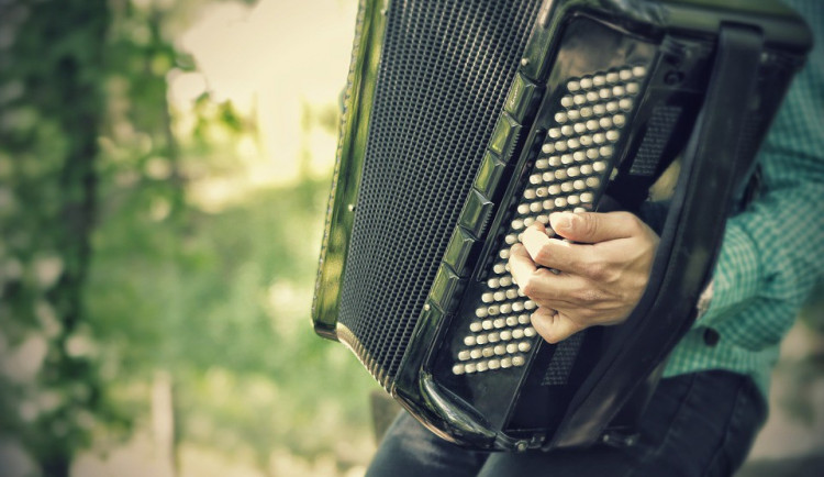 ilustrační fotografie