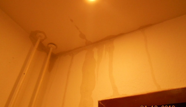 zdroj: Městská policie Olomouc