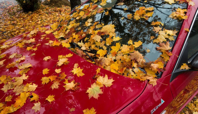 ilustrační fotografie