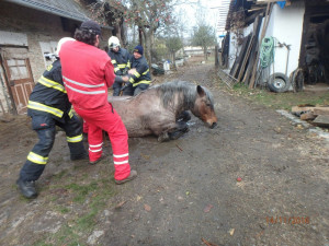 Uvíznutý kůň