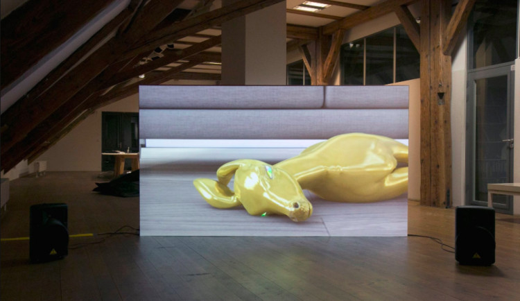 Foto: Tomáš Hrůza