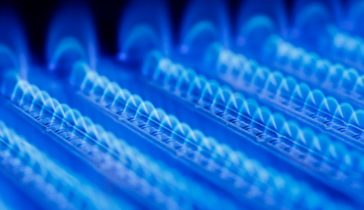 ilustrační fotografie