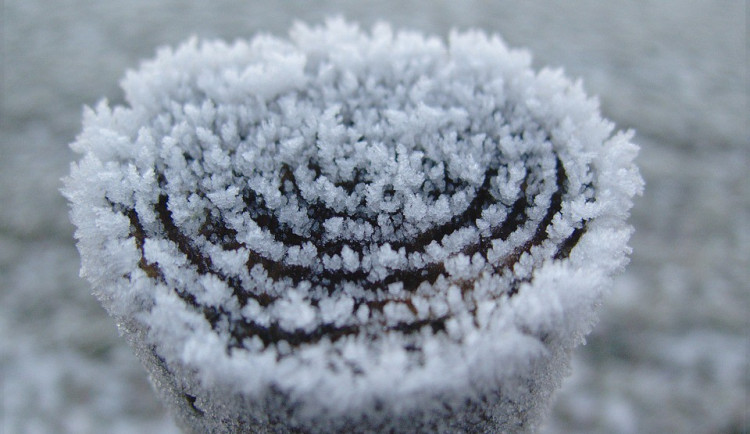 ilustrační fotografie