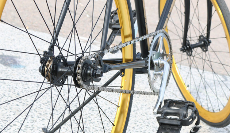 ilustrační fotografie