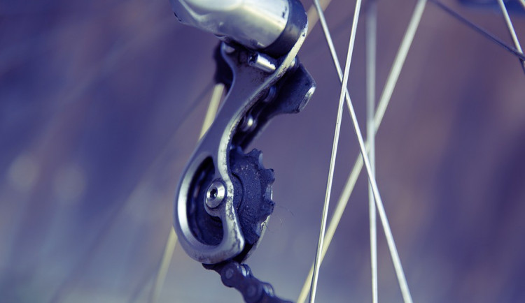 ilustrační fotografie