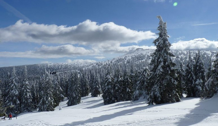 Ilustrační foto Pradědu