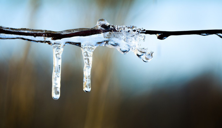 ilustrační fotografie