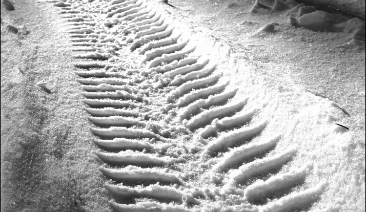 ilustrační fotografie