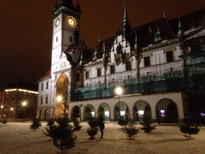 Olomoucké Horní náměstí zdobí les z použitých vánočních stromků