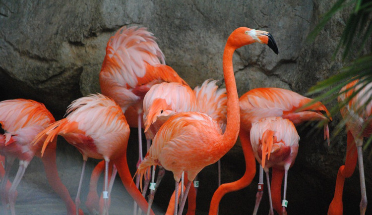 ilustrační fotografie