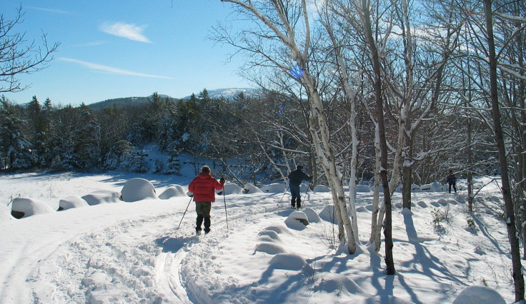 ilustrační fotografie