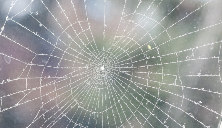 ilustrační fotografie