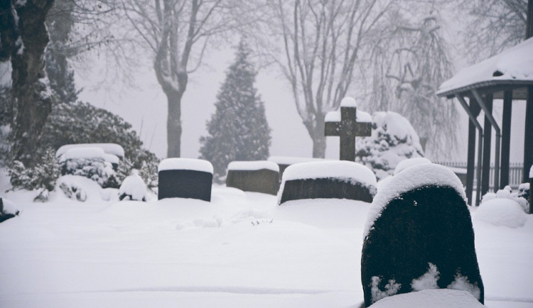 ilustrační fotografie