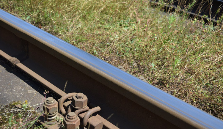 ilustrační fotografie