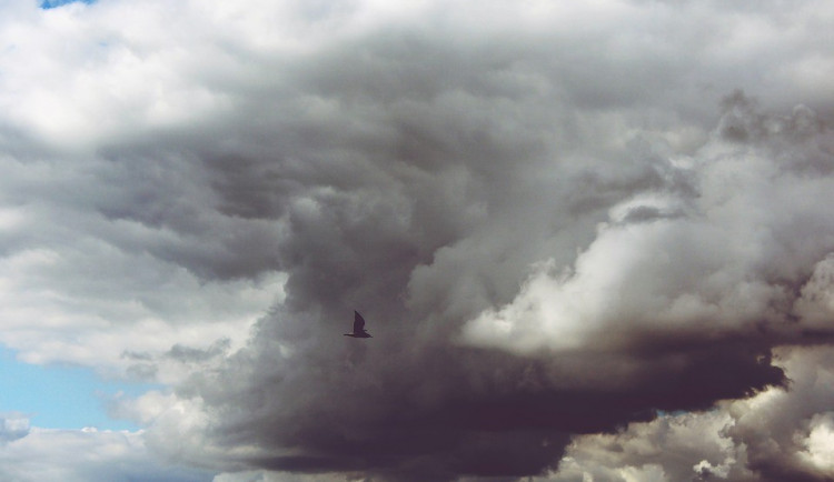 ilustrační fotografie