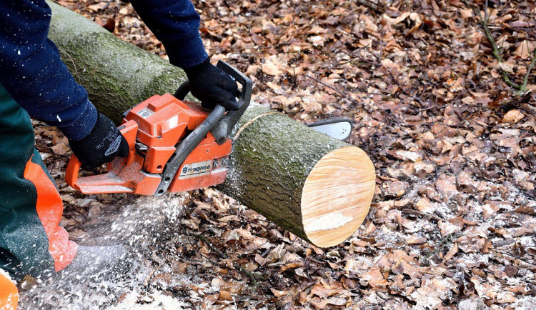 ilustrační fotografie