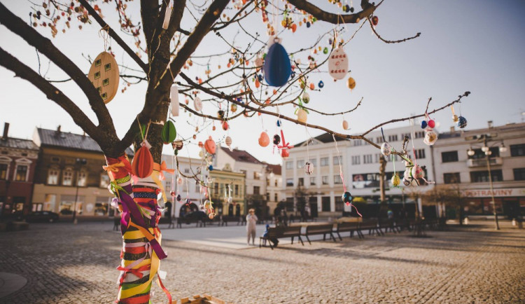 Kralicovník (Foto: Pavel Jakubka)