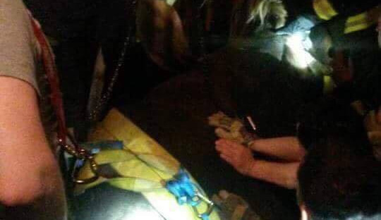 Dobrovolní hasiči z Horky nad Moravou vyprošťovali březí kobylu více než sedm hodin