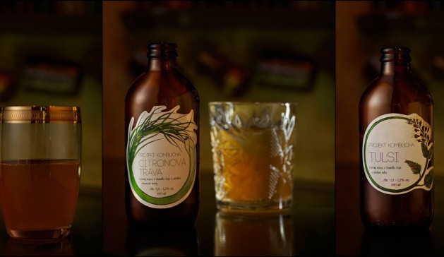 Kvašený nápoj kombucha – přírodní, povzbuzující, originální a hlavně olomoucký