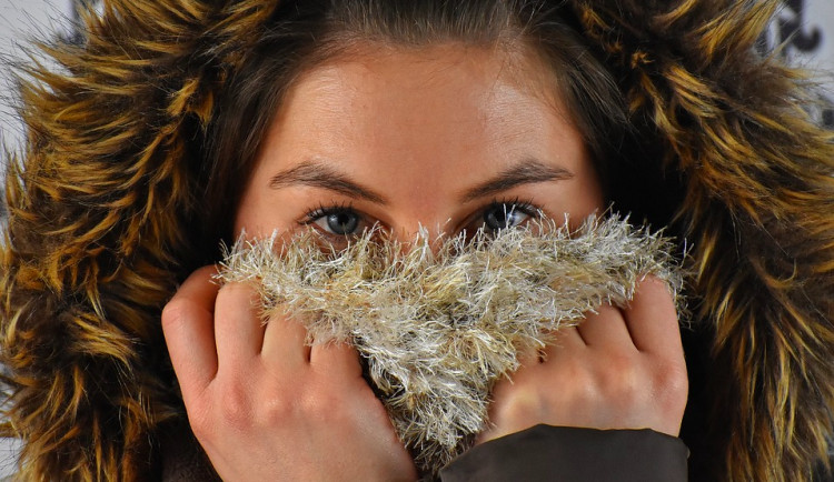 ilustrační fotografie