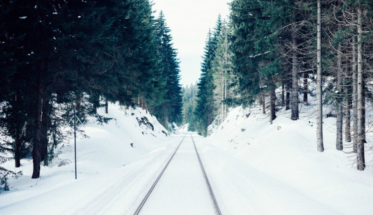 ilustrační fotografie