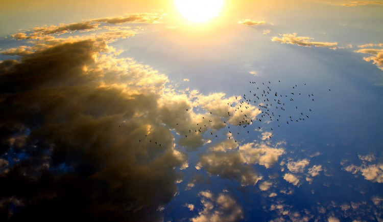 ilustrační fotografiepi