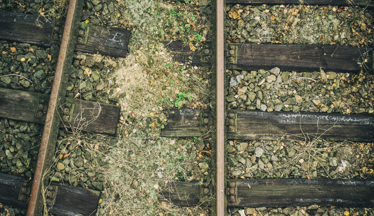 ilustrační fotografie